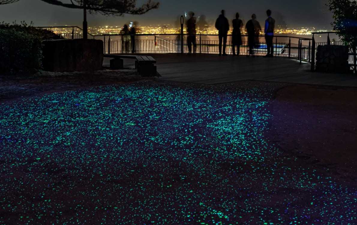 摩耶★闪烁小道1