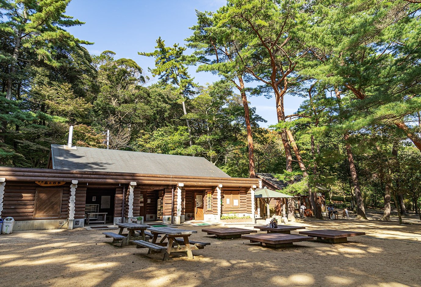 森林的原木小屋