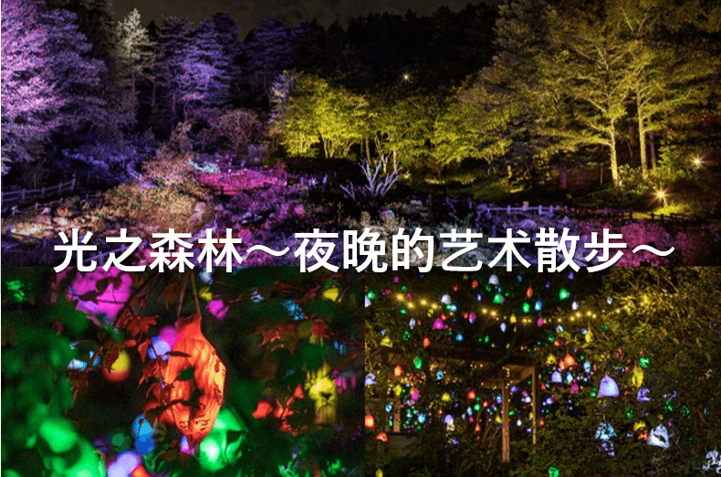 光之森林～夜晚的艺术散步～ - 交通方式！神户六甲山