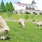 Kobe Municipal Rokkosan Pasture