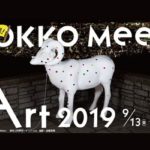 Rokko Meets Art