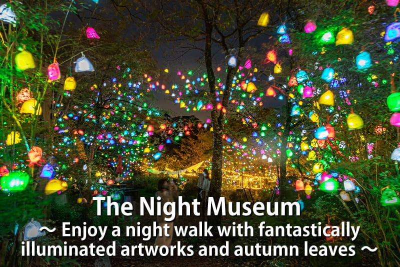 The Night Museum ~Enjoy a night walk with fantastically