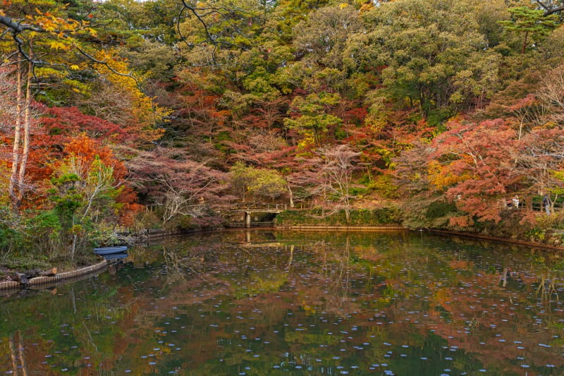 Hase Pond