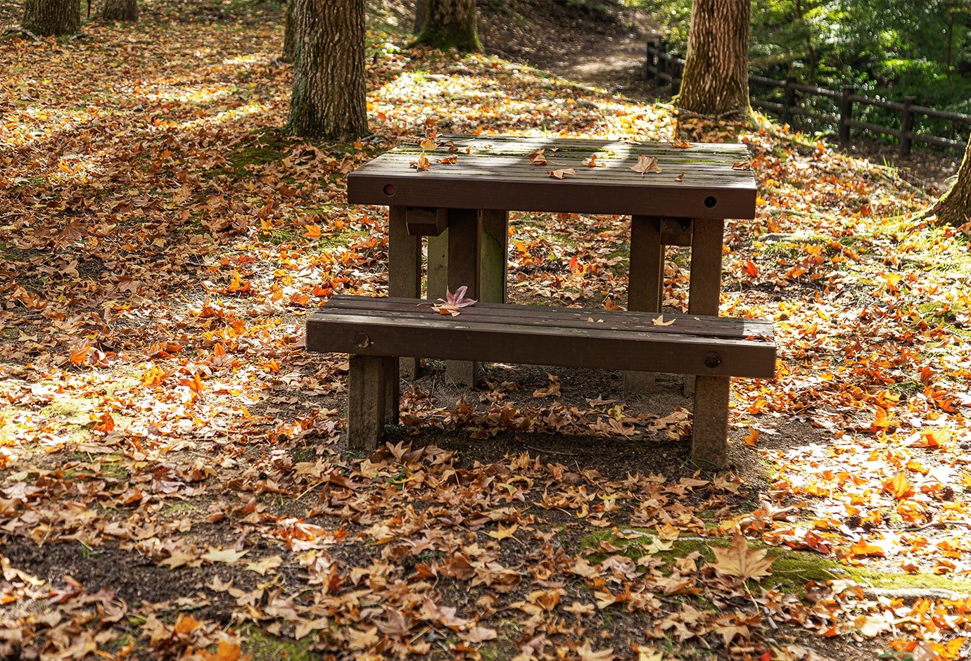Rest Spot