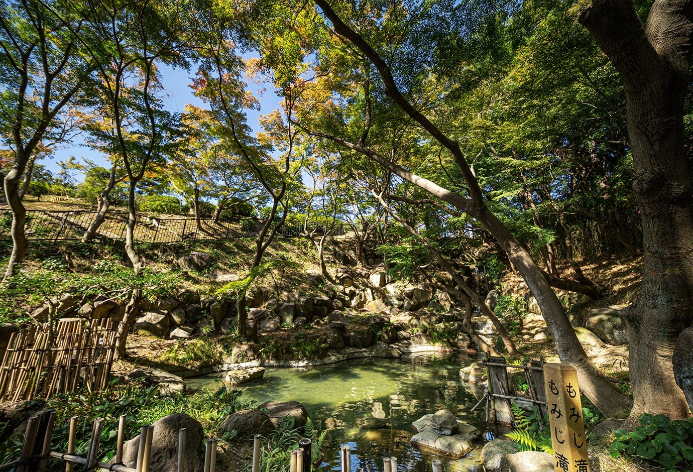 Maple Waterfall