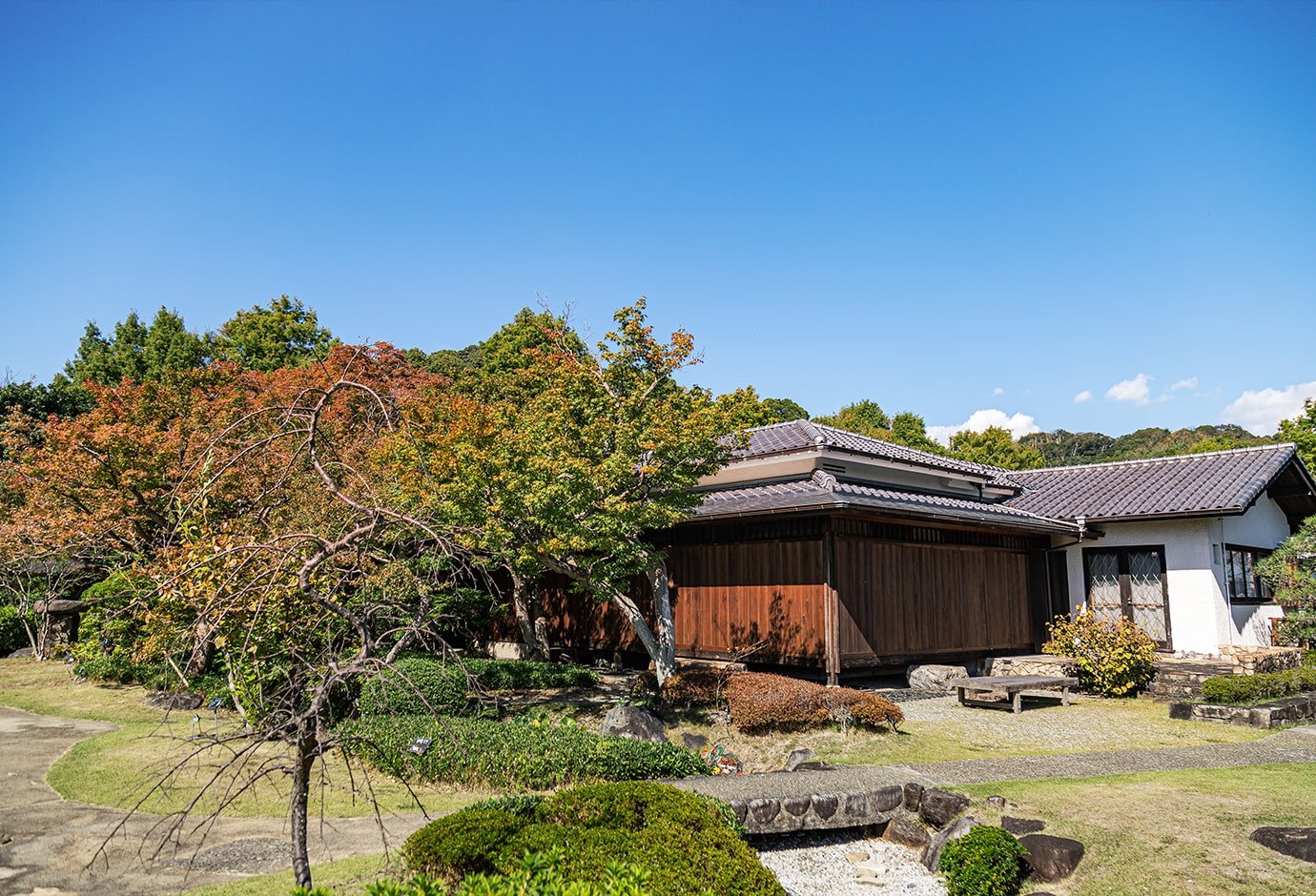 Japanese Garden