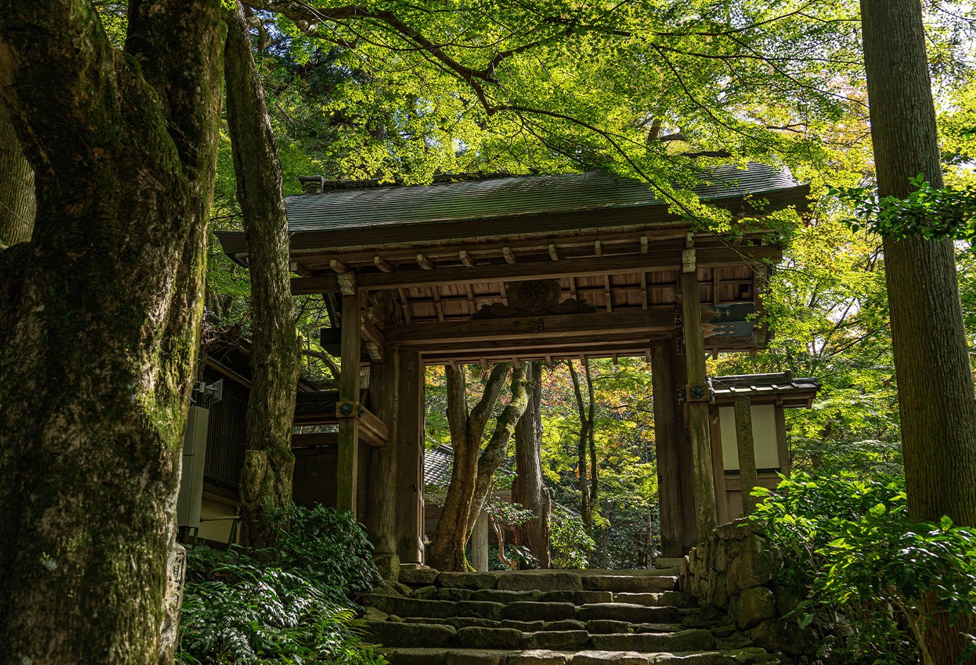 Zuihoji Temple Gate