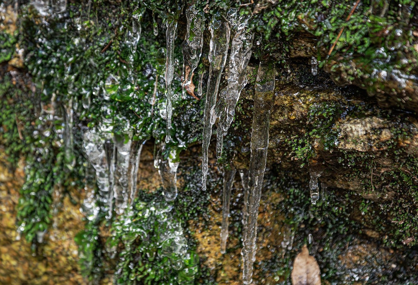 Icicles