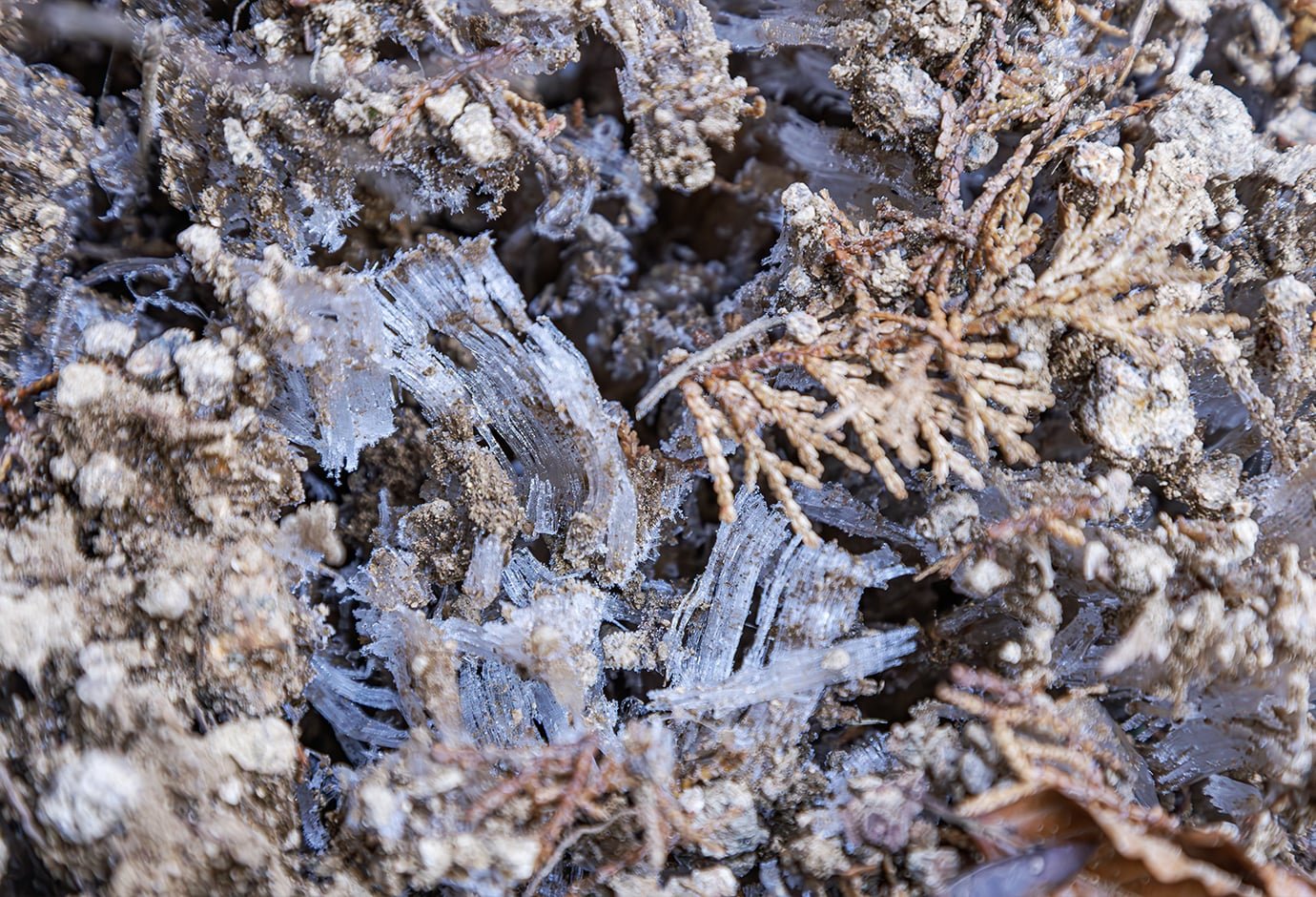 Frost Pillars