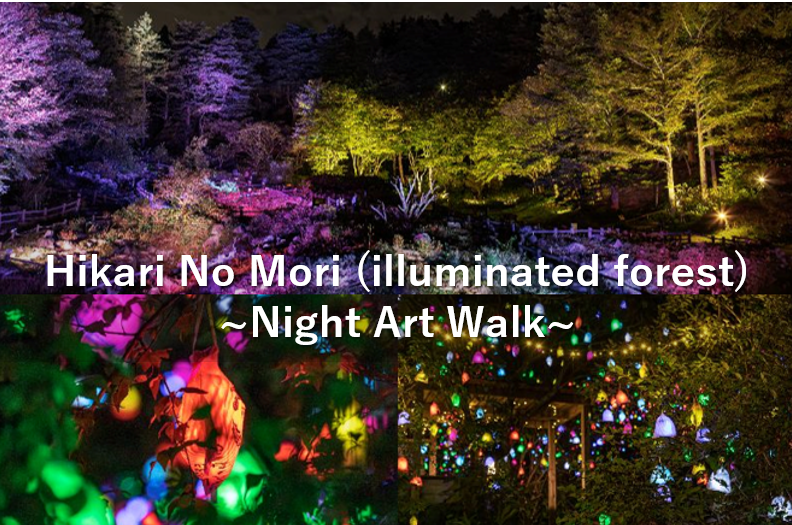Hikari No Mori (illuminated forest) ~Night Art Walk~ | Access to