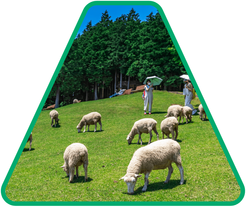 Ferme Rokkosan de la ville de Kobe