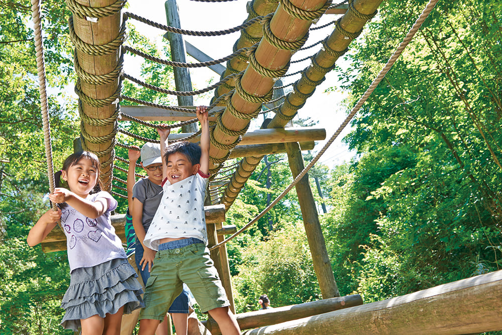 MOUNT ROKKO ATHLETIC PARK GREENIA