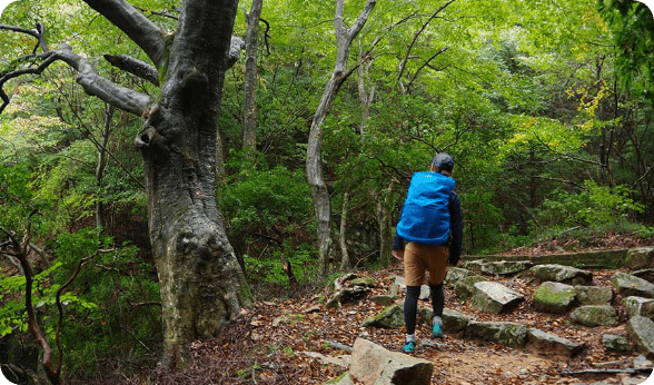단풍이 많은 모미지다니와 산 속 명소 둘러보기