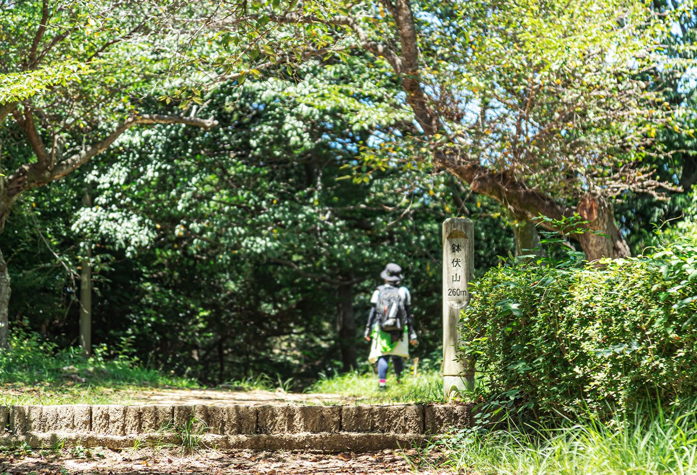 하치부세야마 산 정상