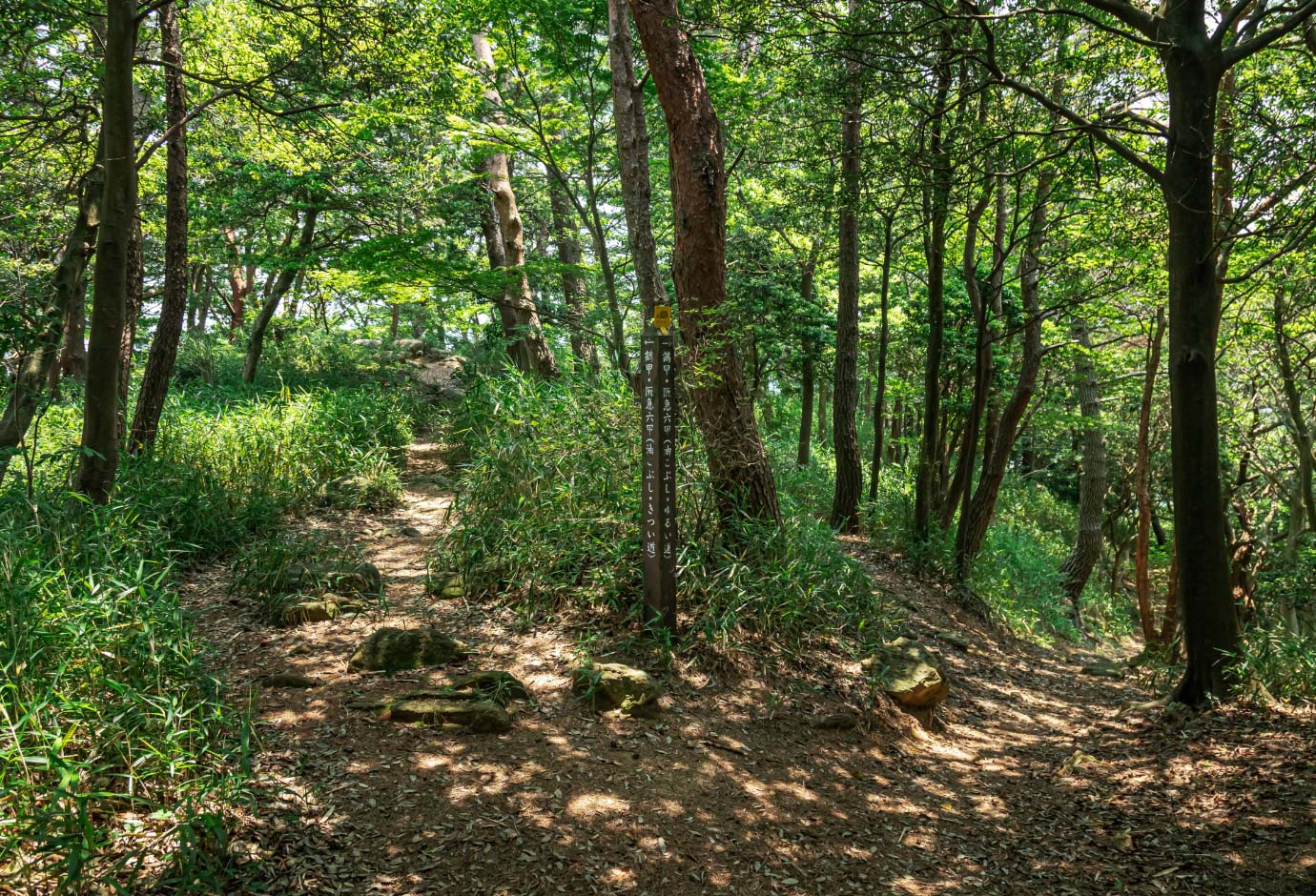 ③「ゆるい道」と「きつい道」