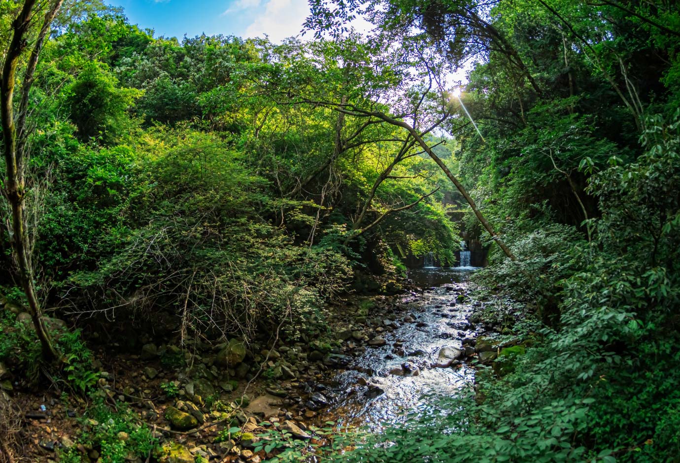 ①住吉川の上流