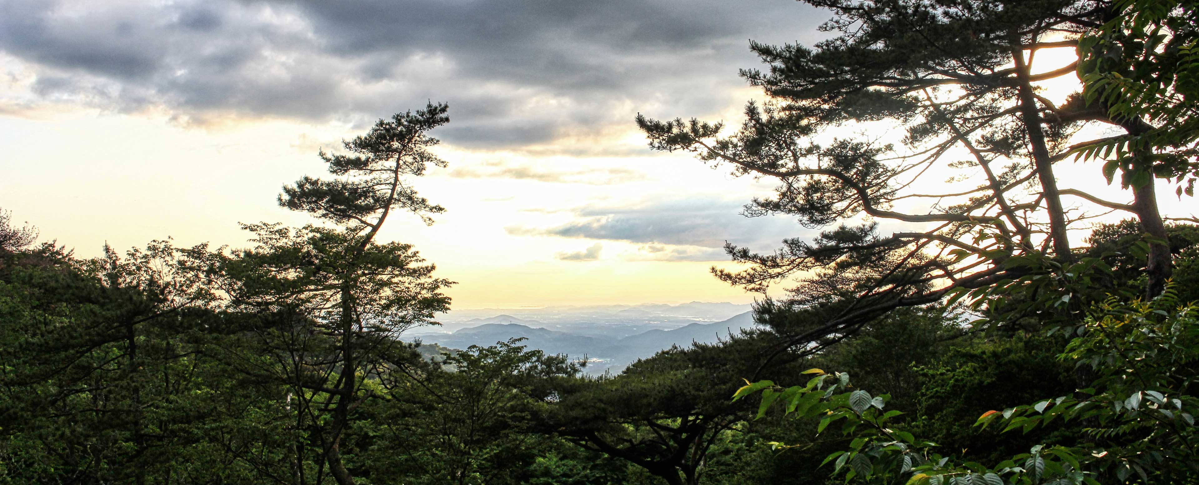シュラインロードの眺望