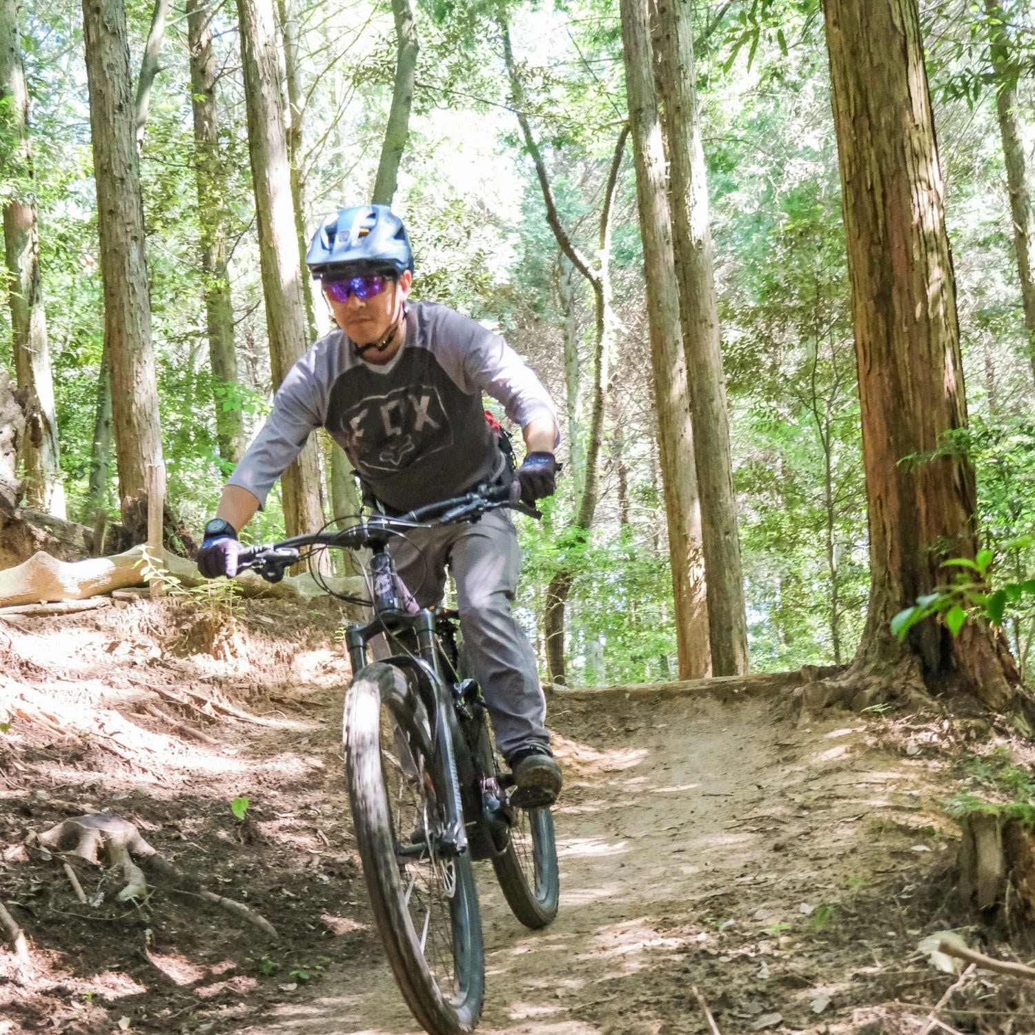 マウンテンバイク Mountain Bike Forest KOBE