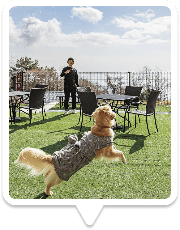 神戸六甲迎賓館 人工芝のドッグラン