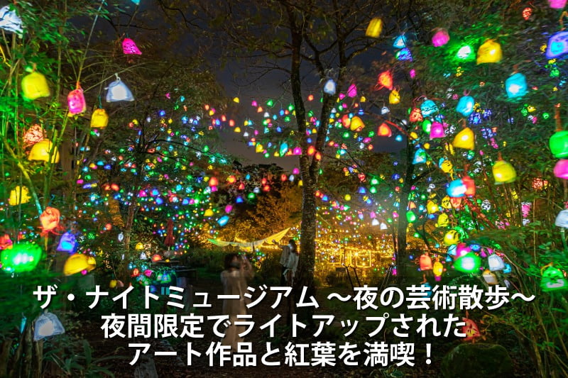ザ・ナイトミュージアム ～夜の芸術散歩～ 夜間限定でライトアップされ