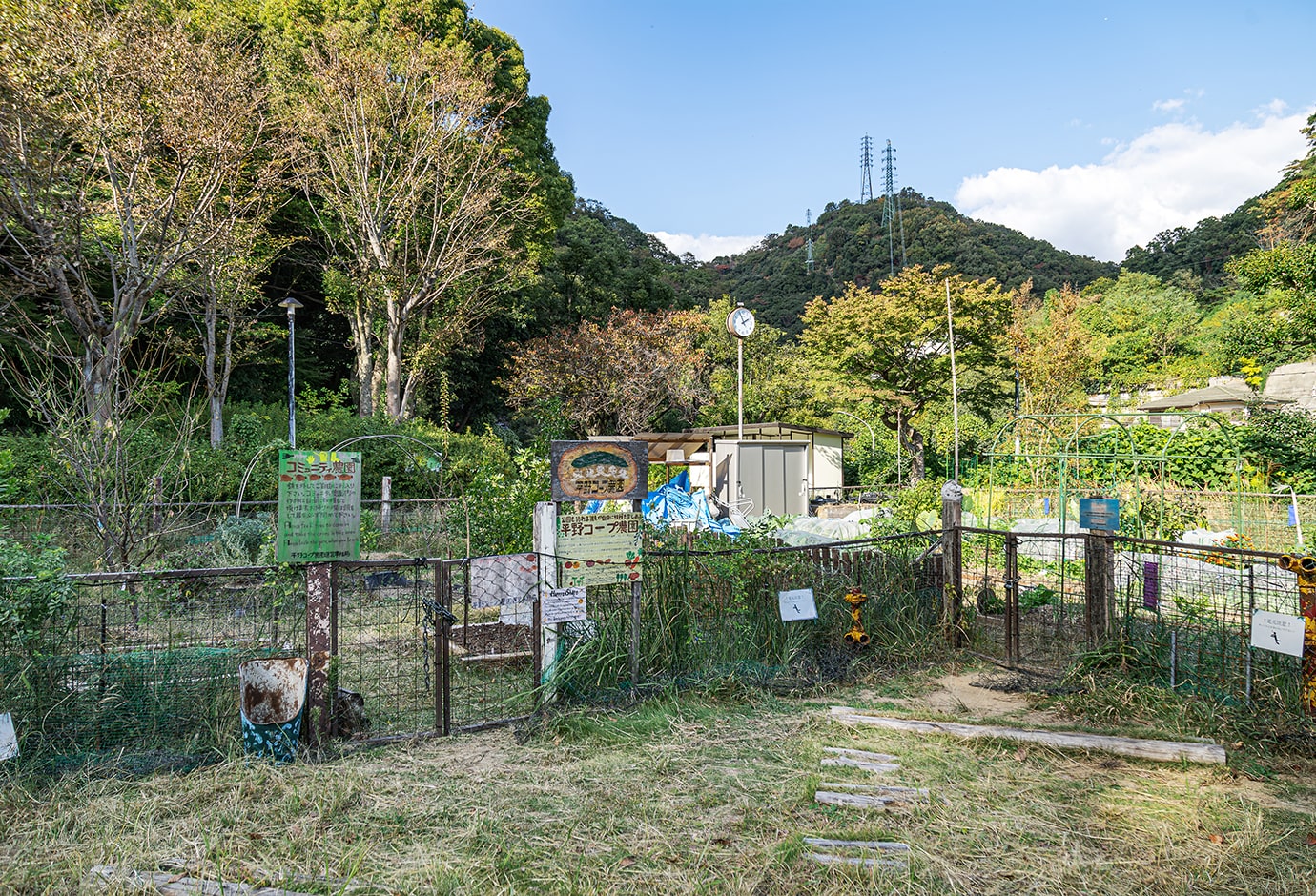 平野コープ農園