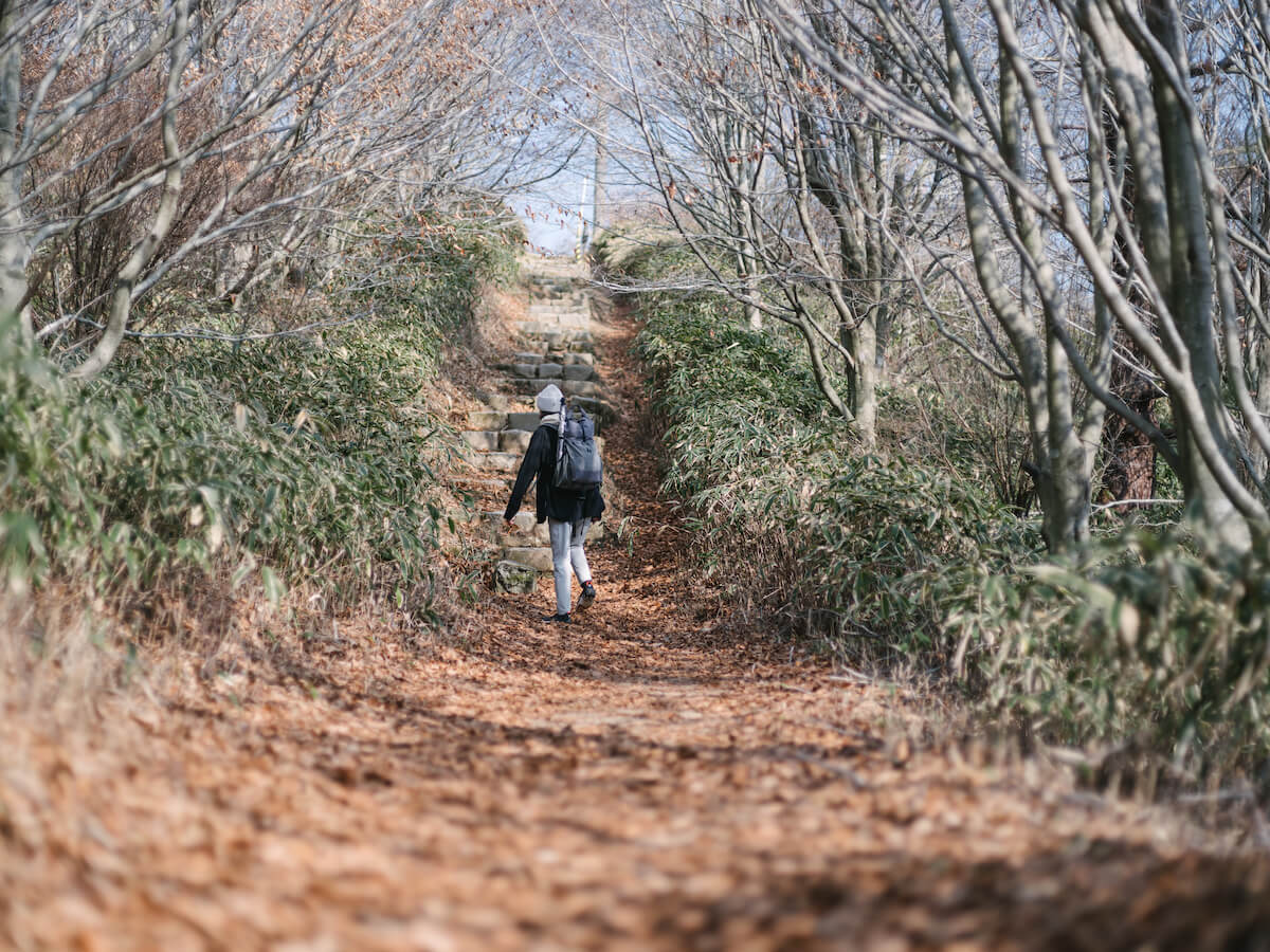 六甲山の山道を歩いている写真