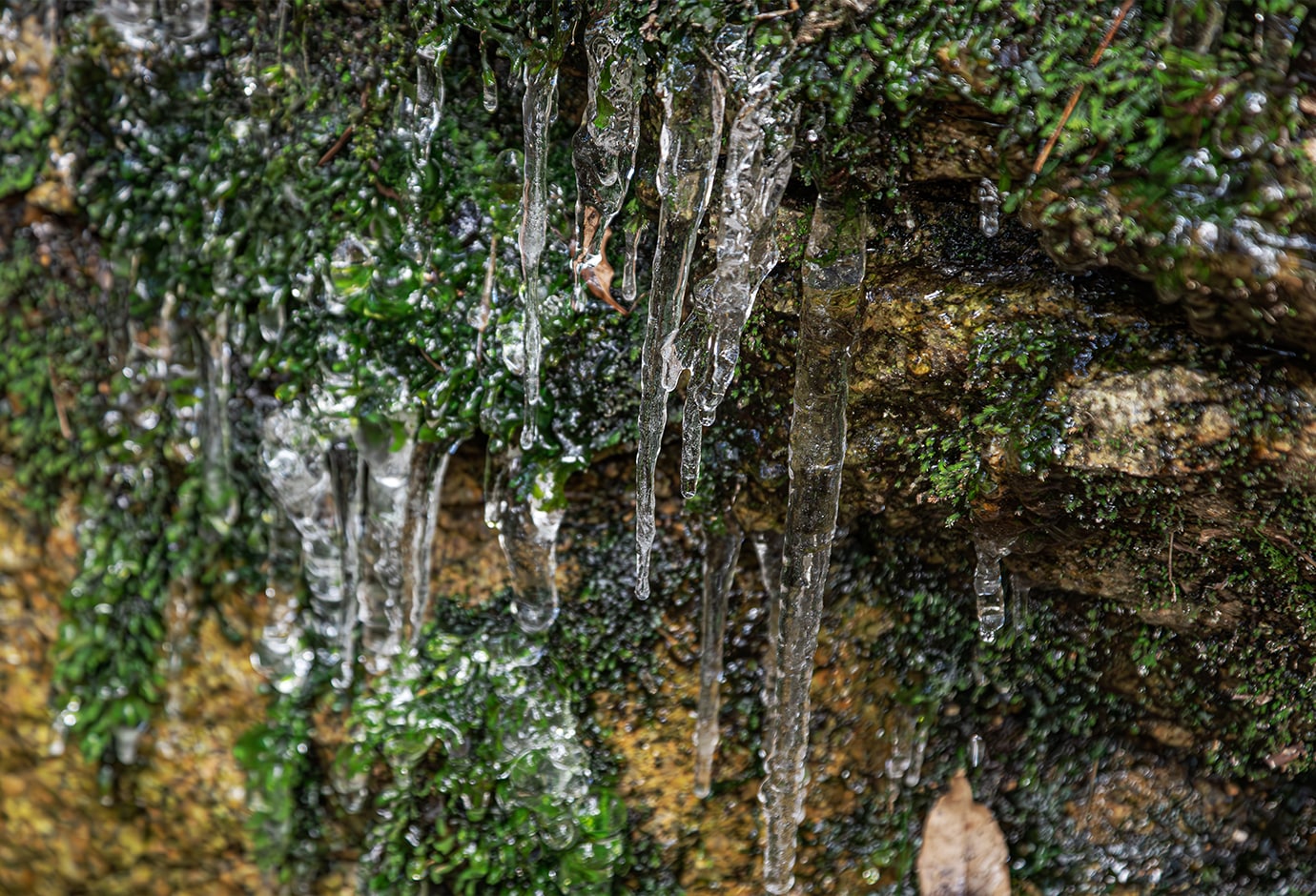 氷柱（つらら）