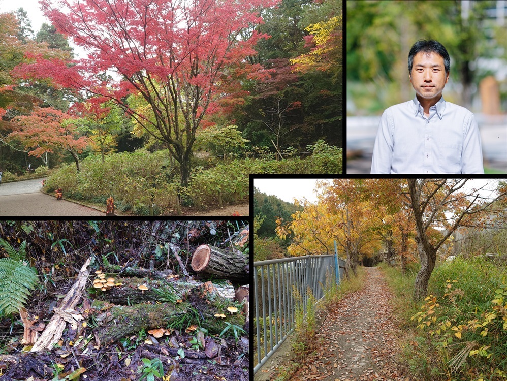 森林官と歩く!紅葉の六甲山・山田道~森林植物園