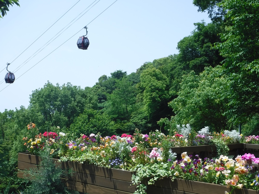初めての神戸ハイキング～神戸布引ハーブ園～