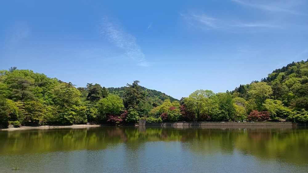 初めての神戸ハイキング～再度公園～