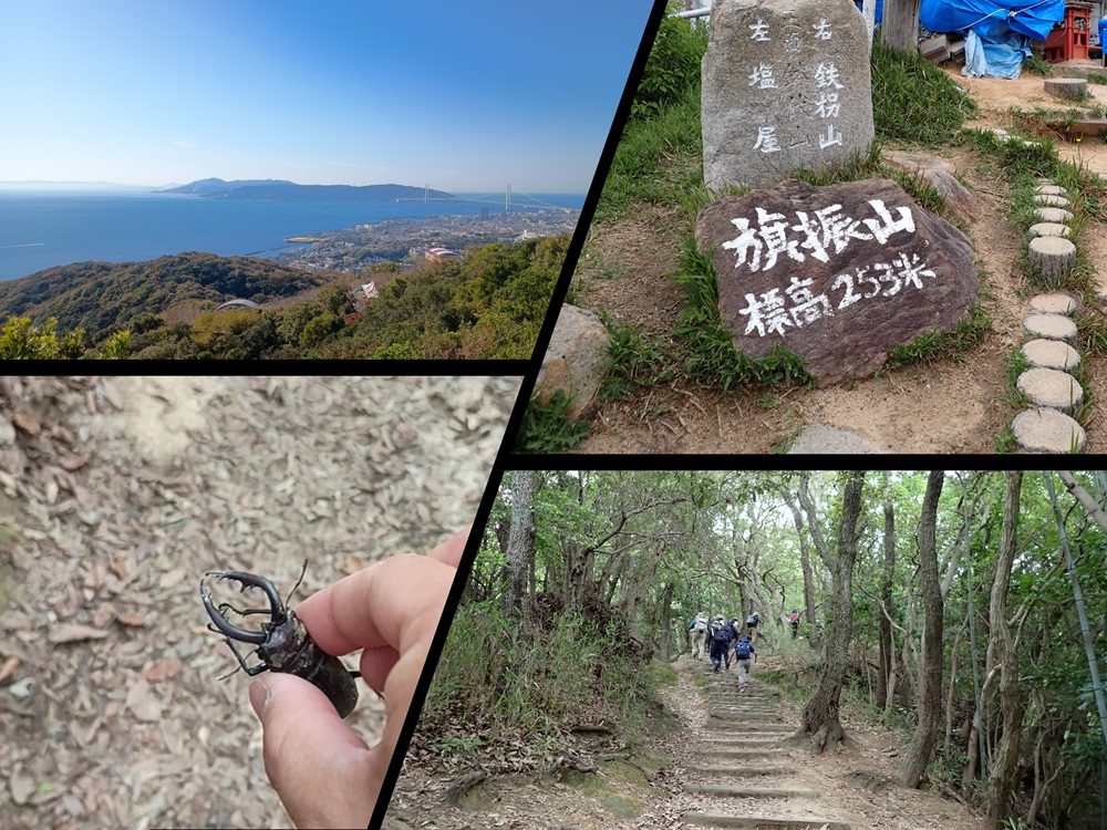 親子で挑戦！初めての神戸ハイキング＆昆虫観察～旗振山～