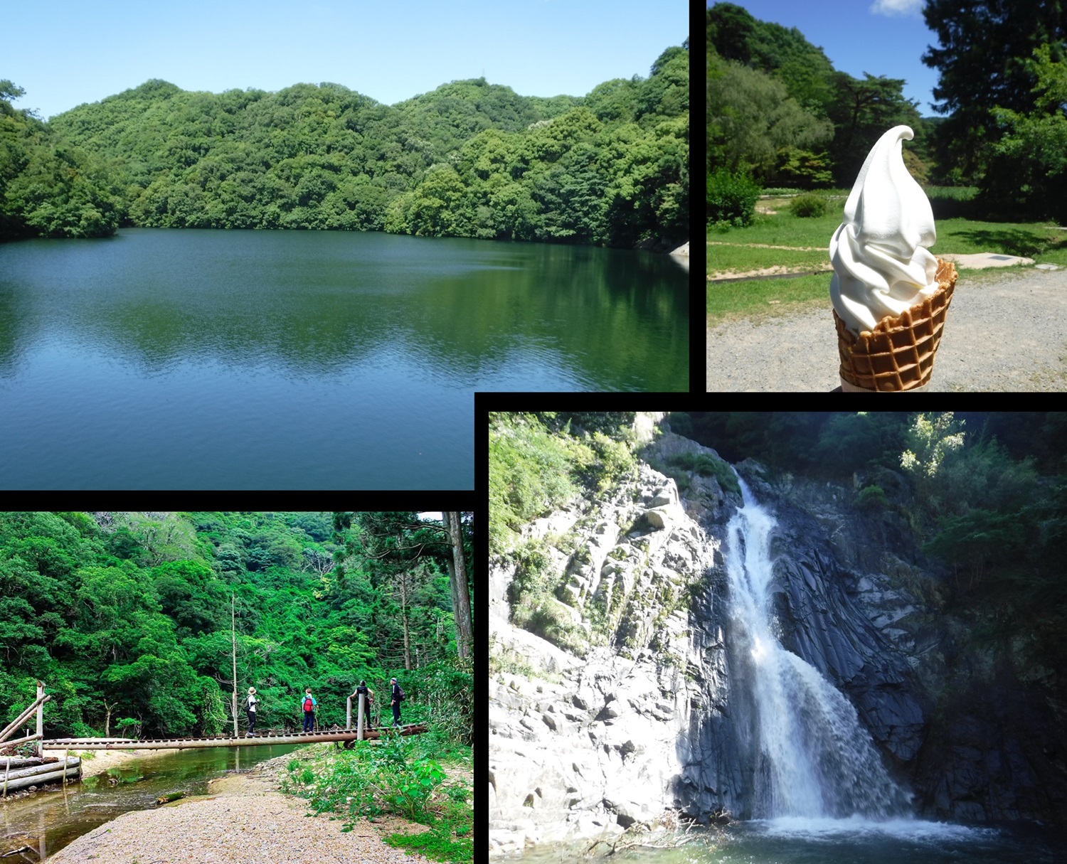 六甲山水辺ハイキング トゥエンティクロス～森林植物園