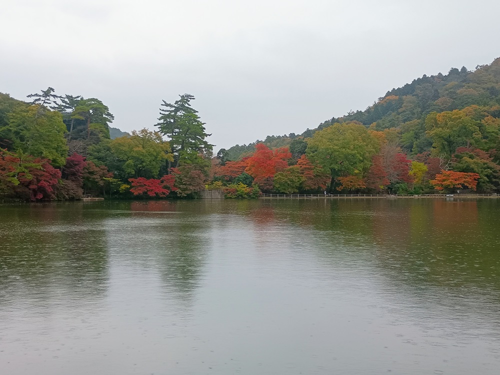 初めての神戸ハイキング～再度公園～